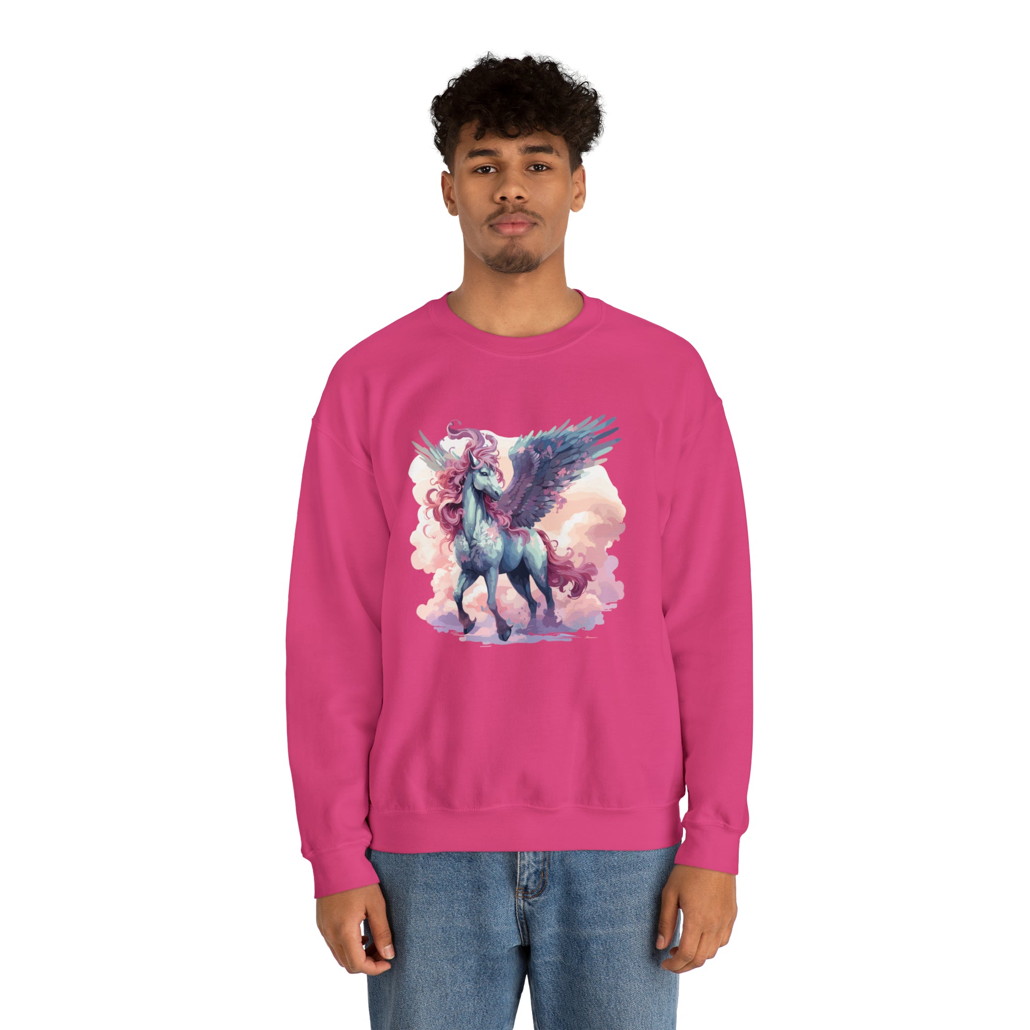 Unisex Pegasus Clouds Sweatshirt   