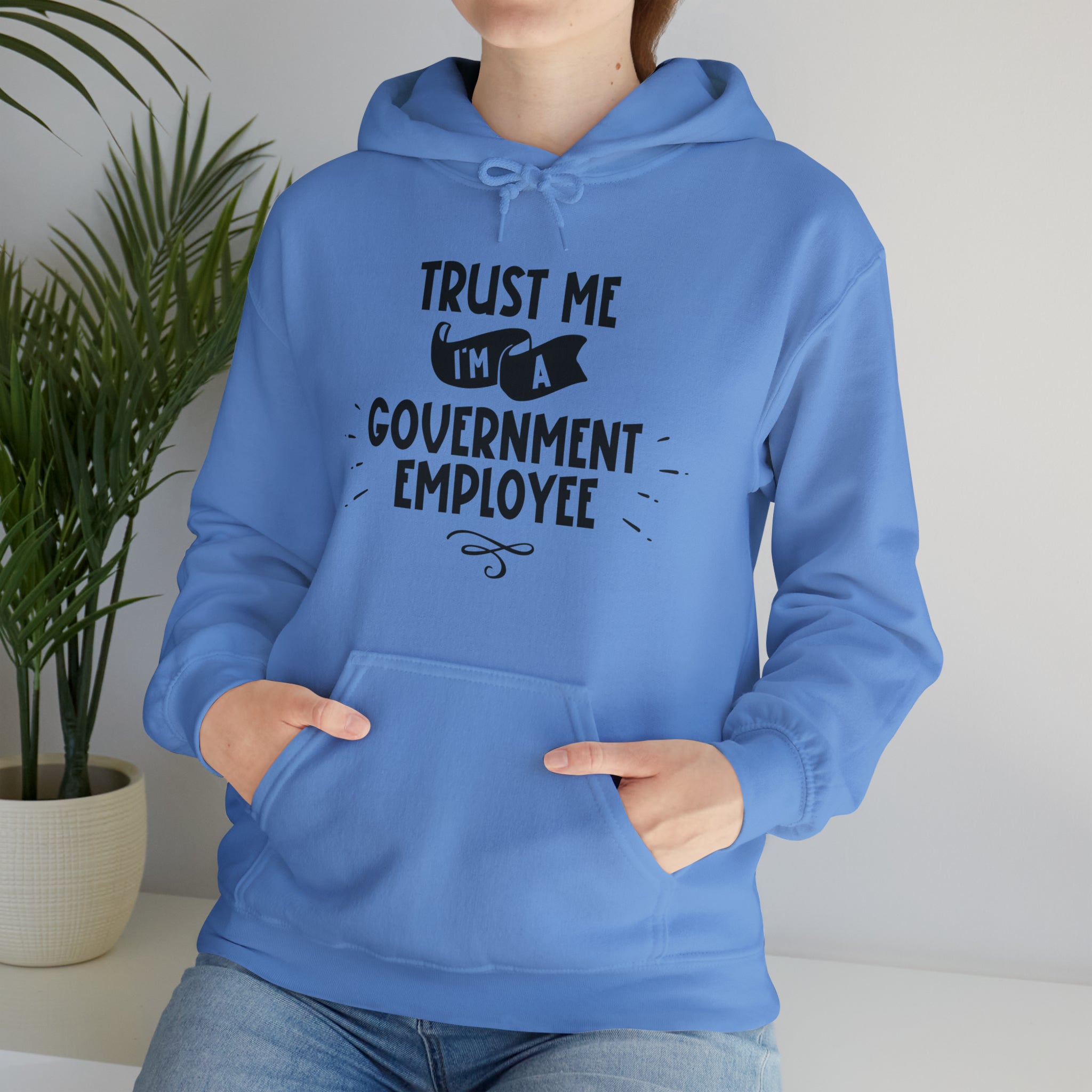 Unisex Trust Me I'm a Government Employee Hoodie   