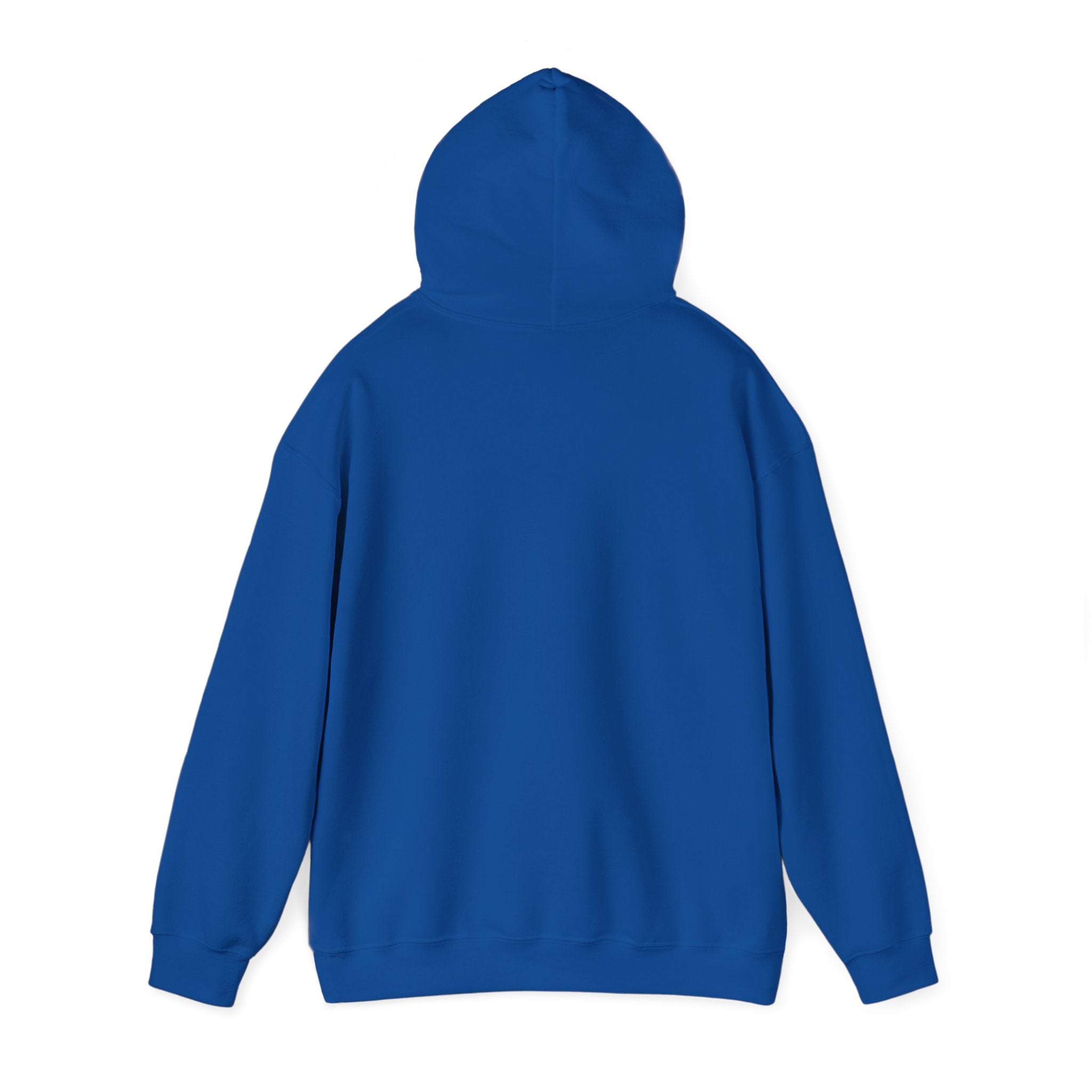 Unisex Zero to Hero Hoodie