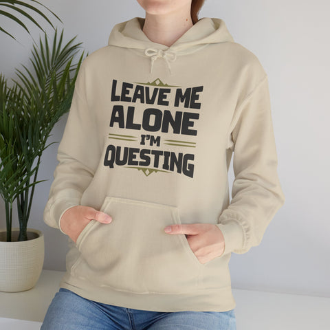 Unisex Leave Me Alone I'm Questing Hoodie