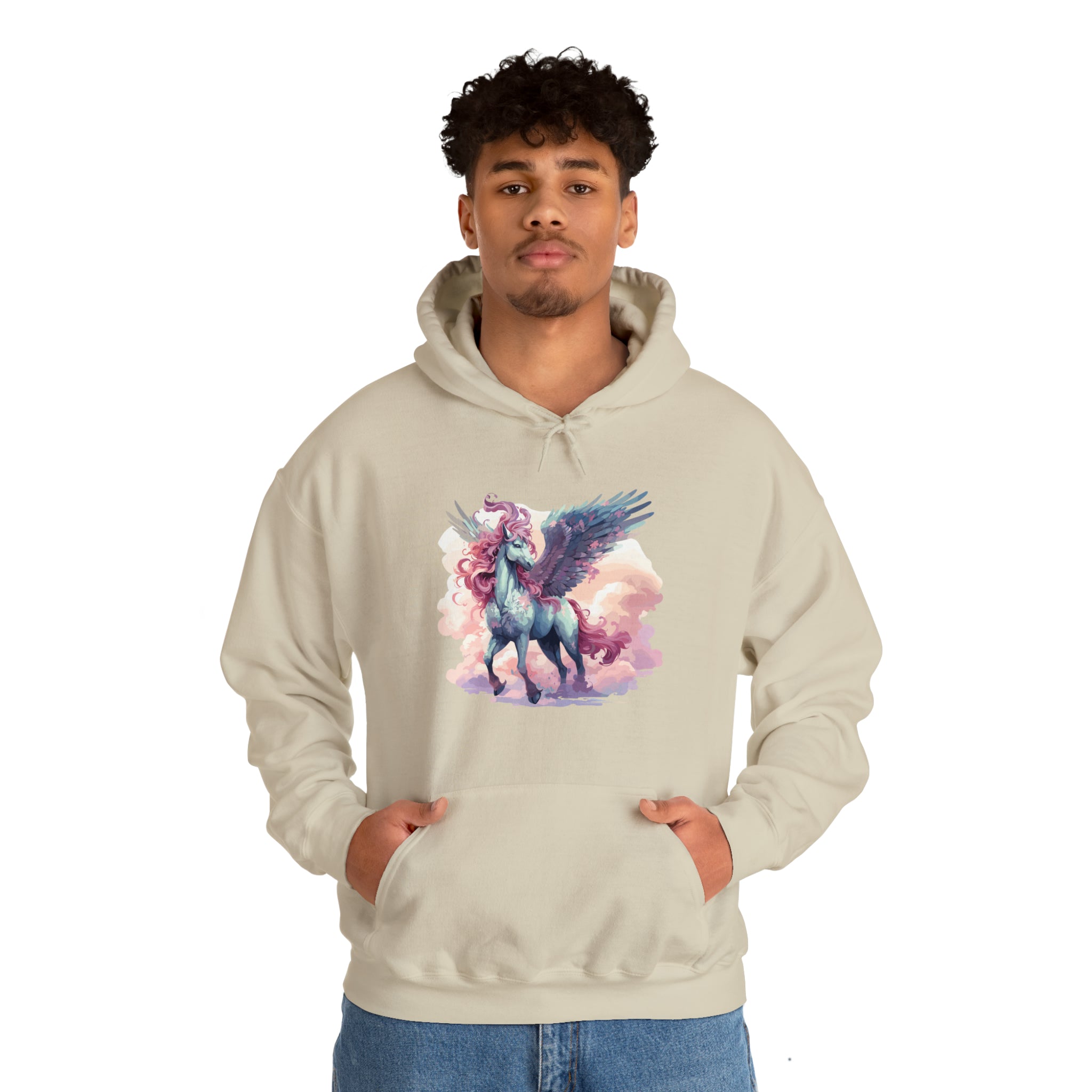 Unisex Pegasus Clouds Hoodie   