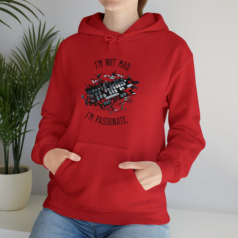 Unisex Funny PC Gamer Hoodie   