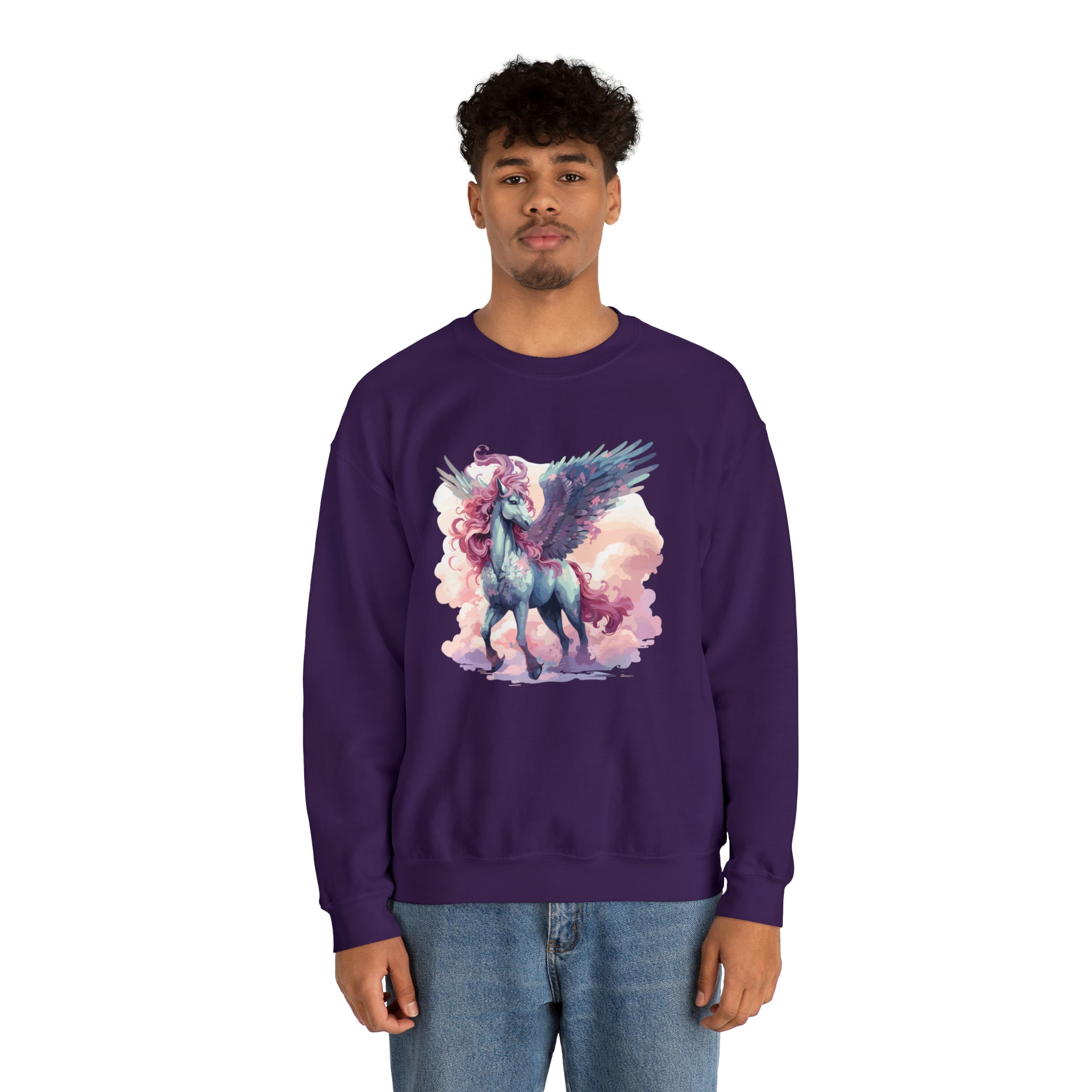 Unisex Pegasus Clouds Sweatshirt   