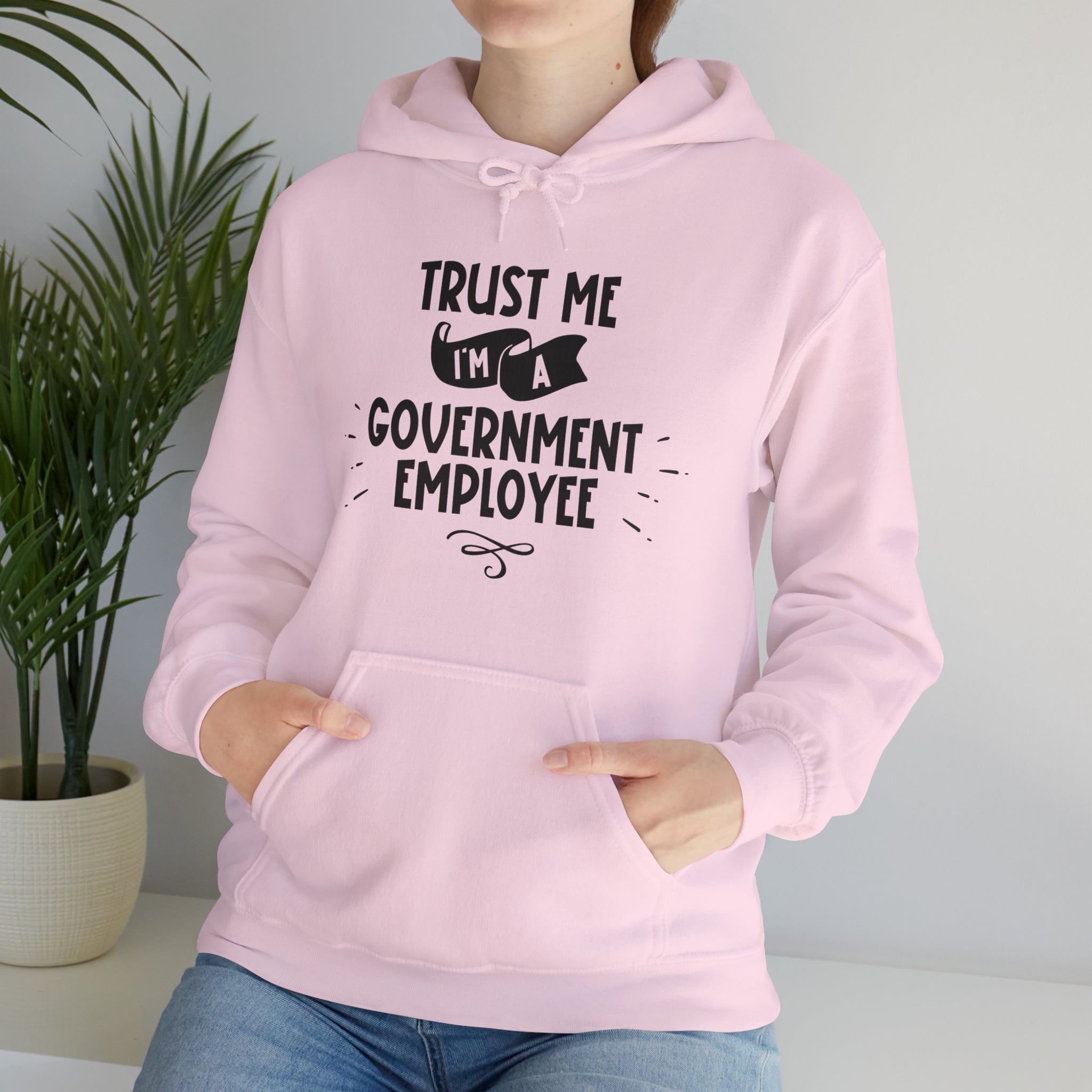 Unisex Trust Me I'm a Government Employee Hoodie   